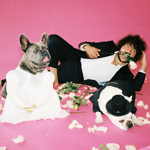 欧美怡红院在线
